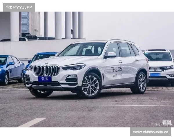 全新宝马X5:史上最强动力组合!